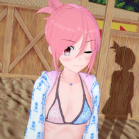 Noriko's swimsuit